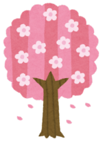 桜