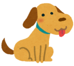 犬