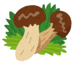 松茸